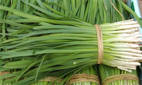 韭菜營(yíng)養(yǎng)及主要分類(lèi)-食堂食材配送
