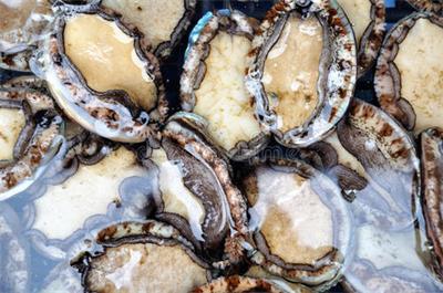 鮑魚營養(yǎng)價(jià)值—上海食堂配送