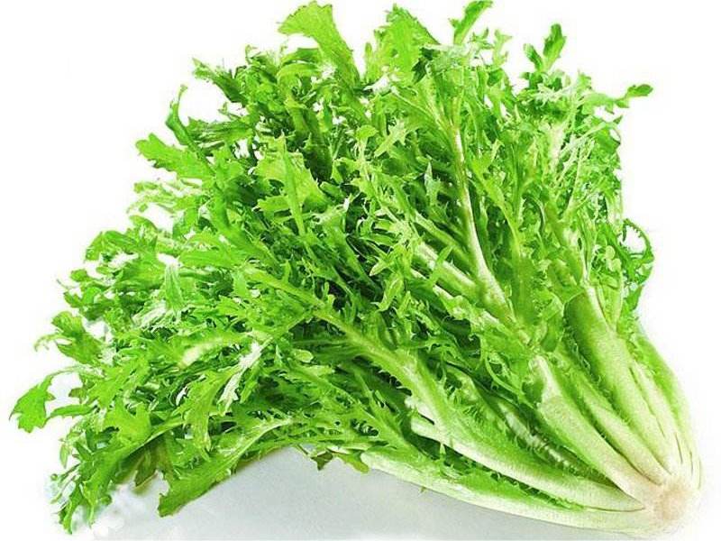 食材配送從生產(chǎn)、采摘再到蔬菜配送無縫銜接
